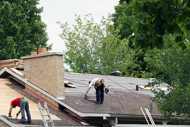 Best Roof Gutter Cleaning  in Bentleyville, PA